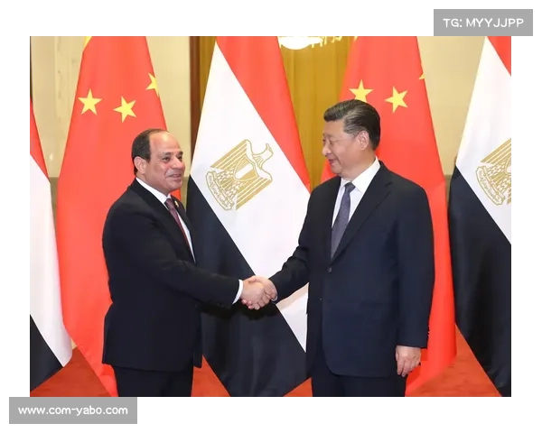 塞阿拉主席选举激烈角逐 两大派系围绕俱乐部财政控制权展开争夺 塞阿拉主席选举激烈角逐 两大派系围绕俱乐部财政控制权展开争夺